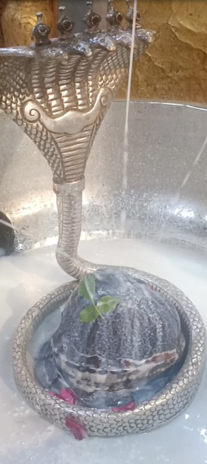 Rudrabhishek to Shree Kubereshwar Mahadev