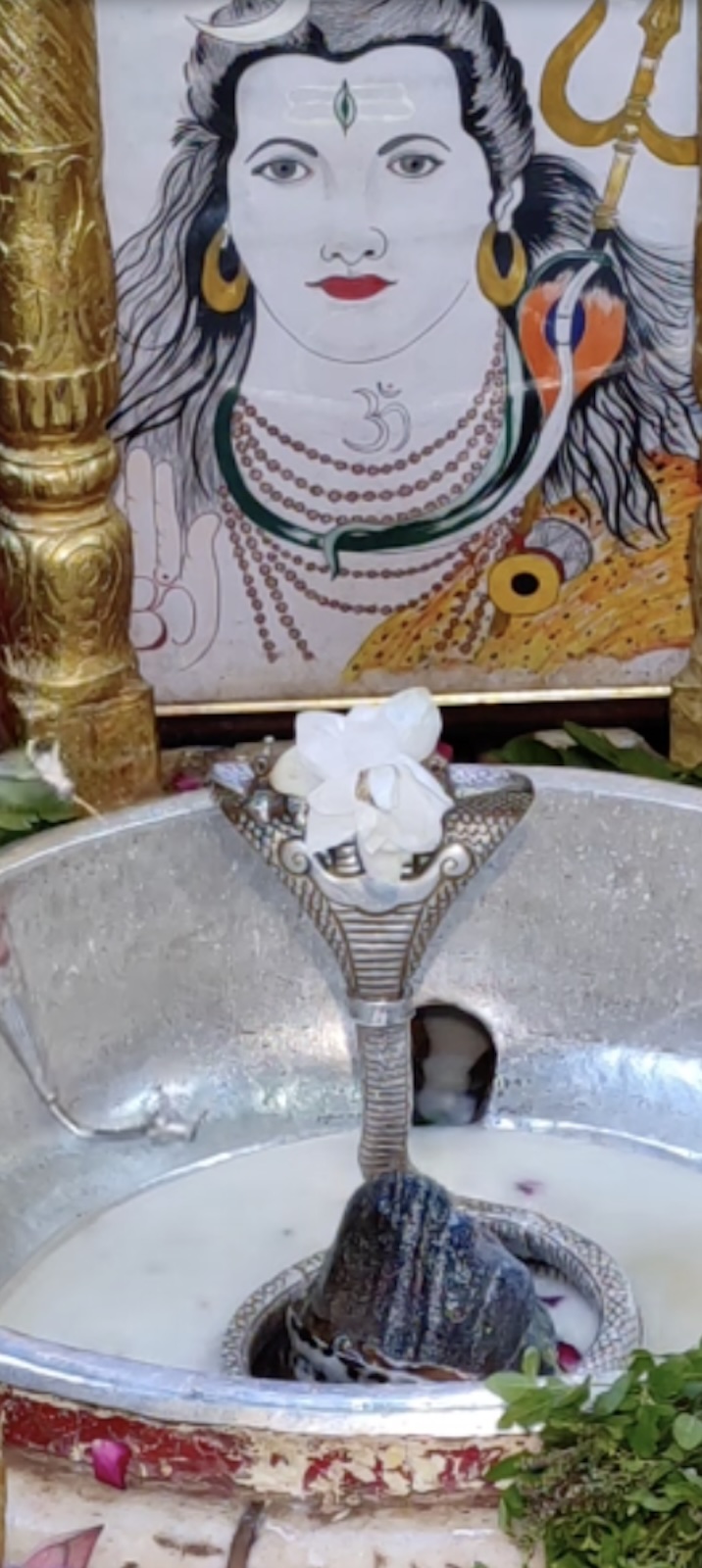 Rudrabhishek to Shree Kubereshwar Mahadev