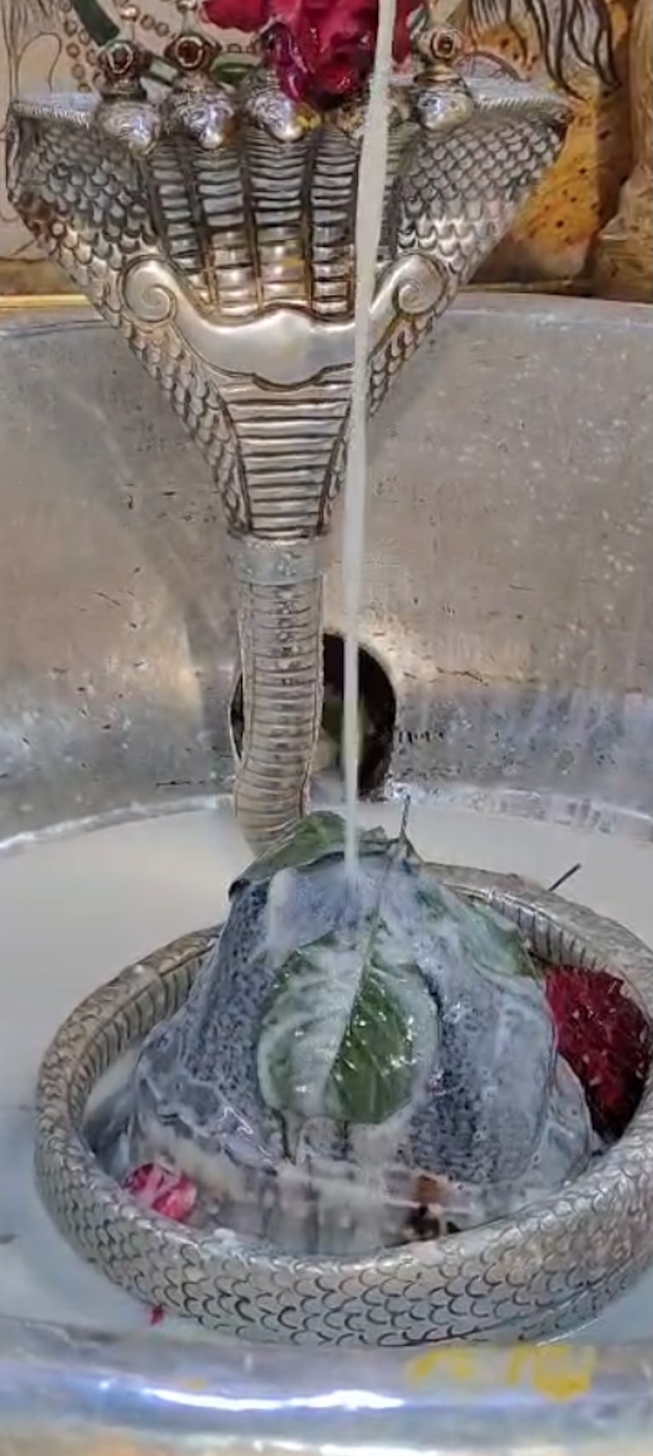 Rudrabhishek to Shree Kubereshwar Mahadev