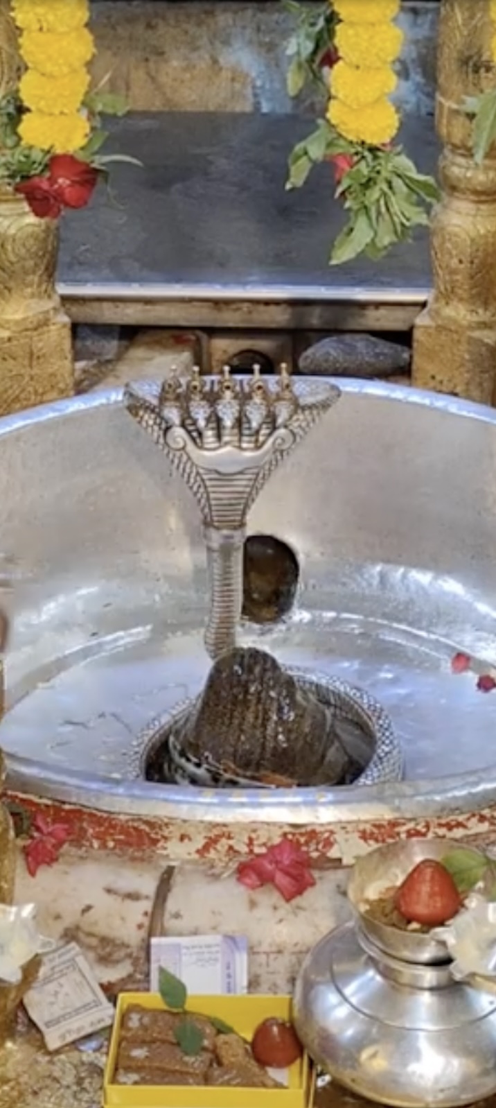 Rudrabhishek to Shree Kubereshwar Mahadev