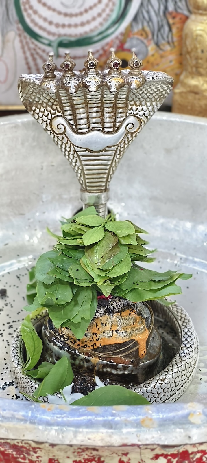 Rudrabhishek to Shree Kubereshwar Mahadev