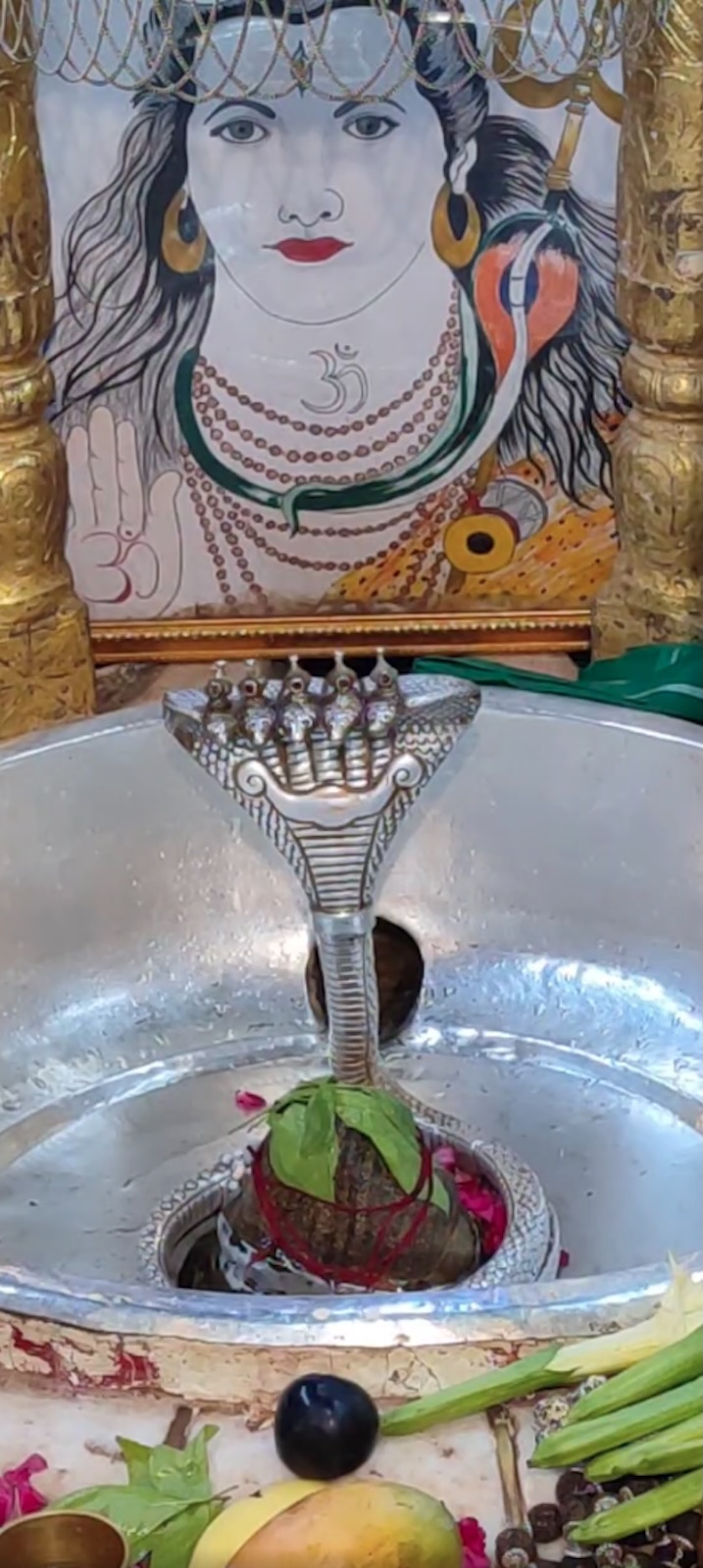 Rudrabhishek to Shree Kubereshwar Mahadev