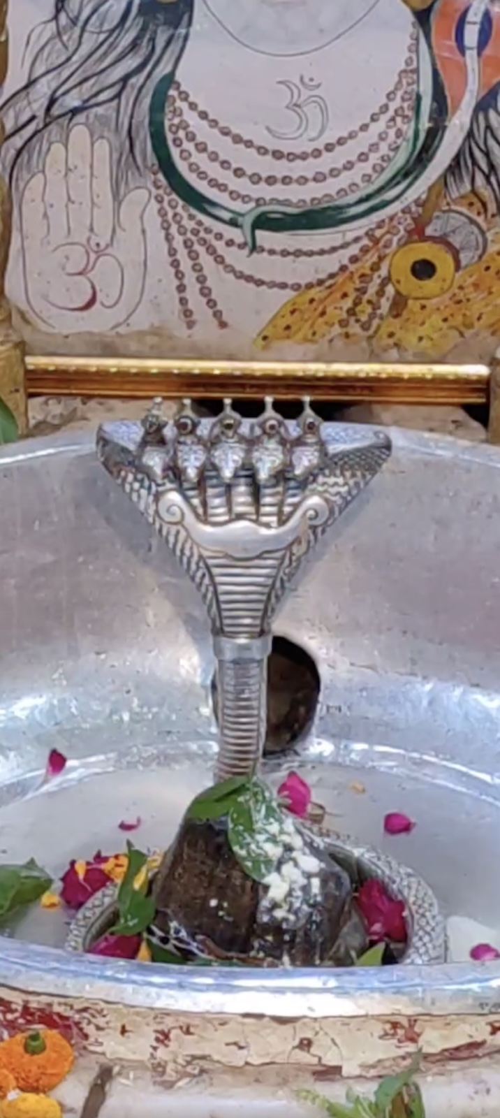 Rudrabhishek to Shree Kubereshwar Mahadev