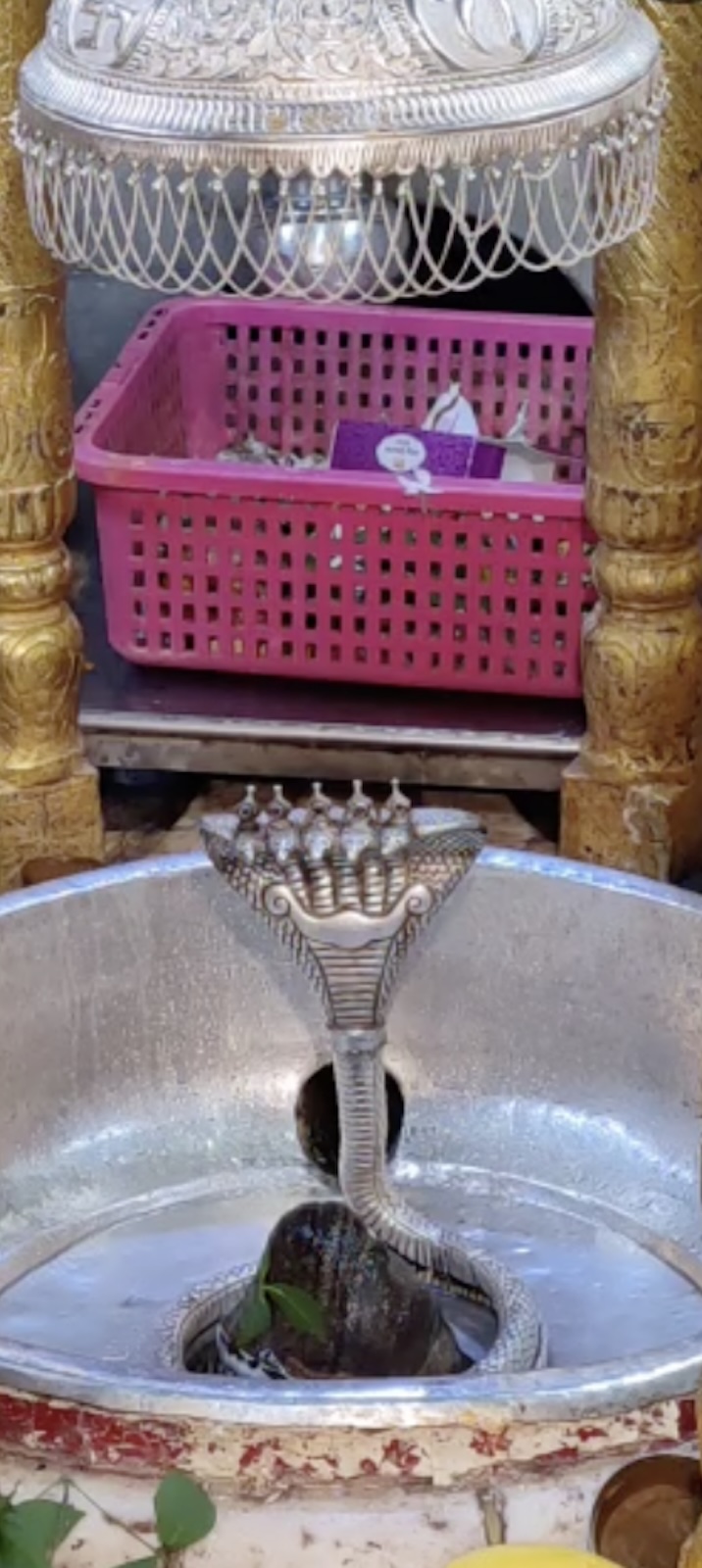 Rudrabhishek to Shree Kubereshwar Mahadev