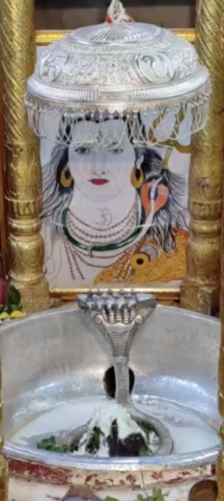 Rudrabhishek to Shree Kubereshwar Mahadev