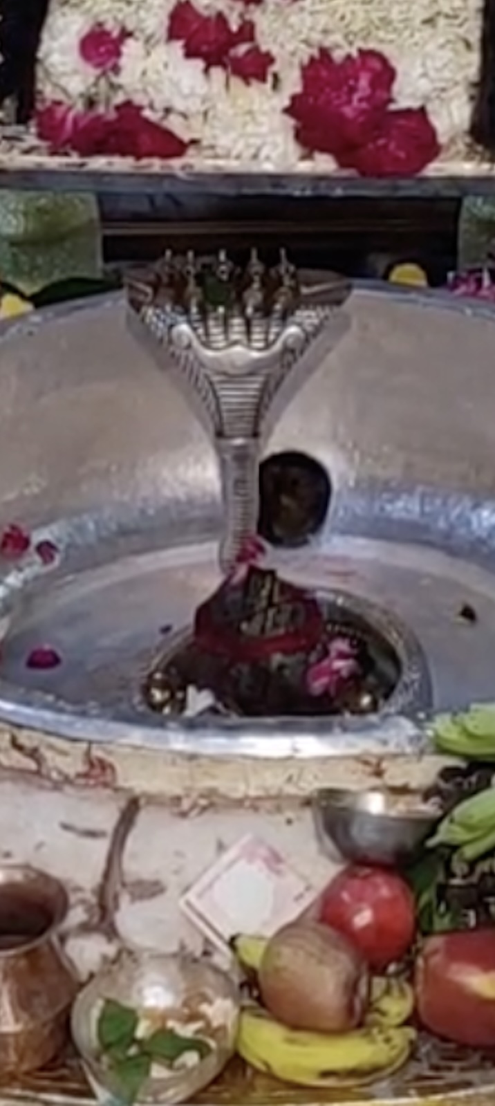 Rudrabhishek to Shree Kubereshwar Mahadev