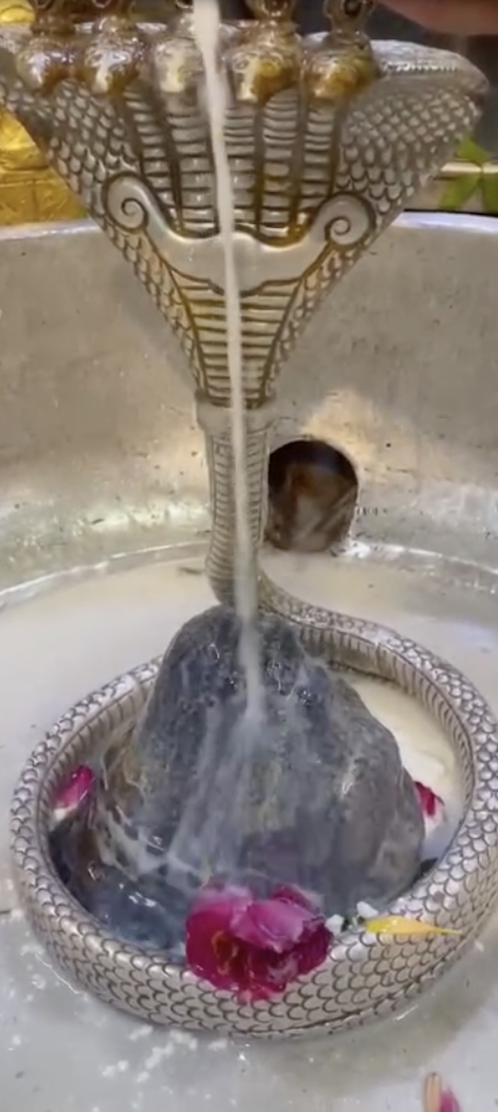 Rudrabhishek to Shree Kubereshwar Mahadev