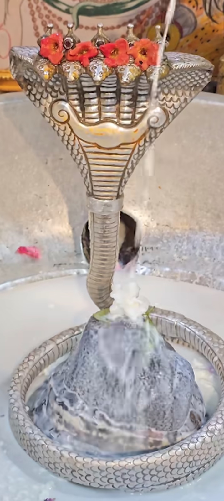 Rudrabhishek to Shree Kubereshwar Mahadev