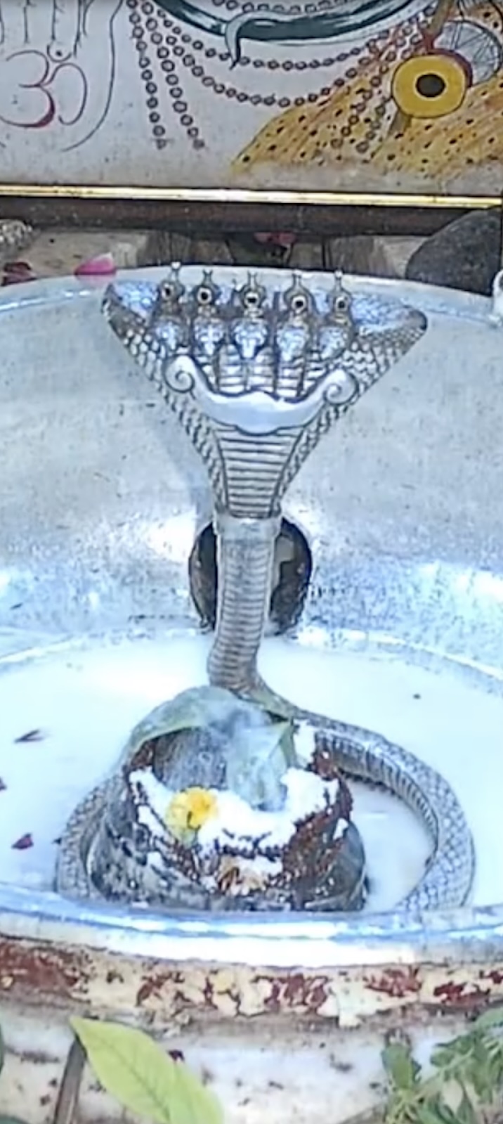 Rudrabhishek to Shree Kubereshwar Mahadev