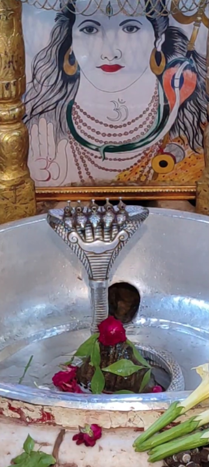 Rudrabhishek to Shree Kubereshwar Mahadev