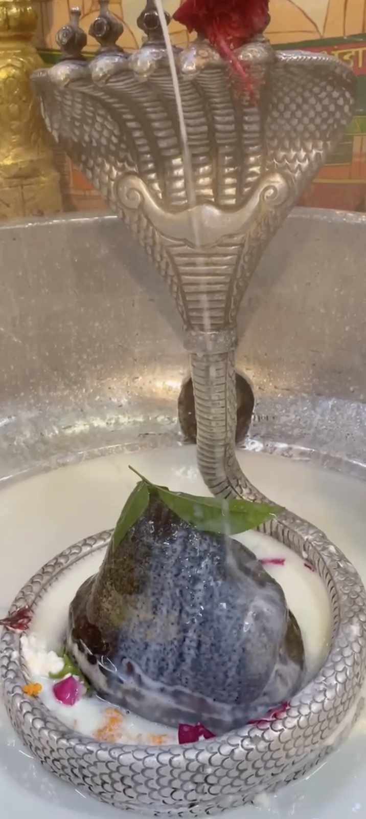 Rudrabhishek to Shree Kubereshwar Mahadev