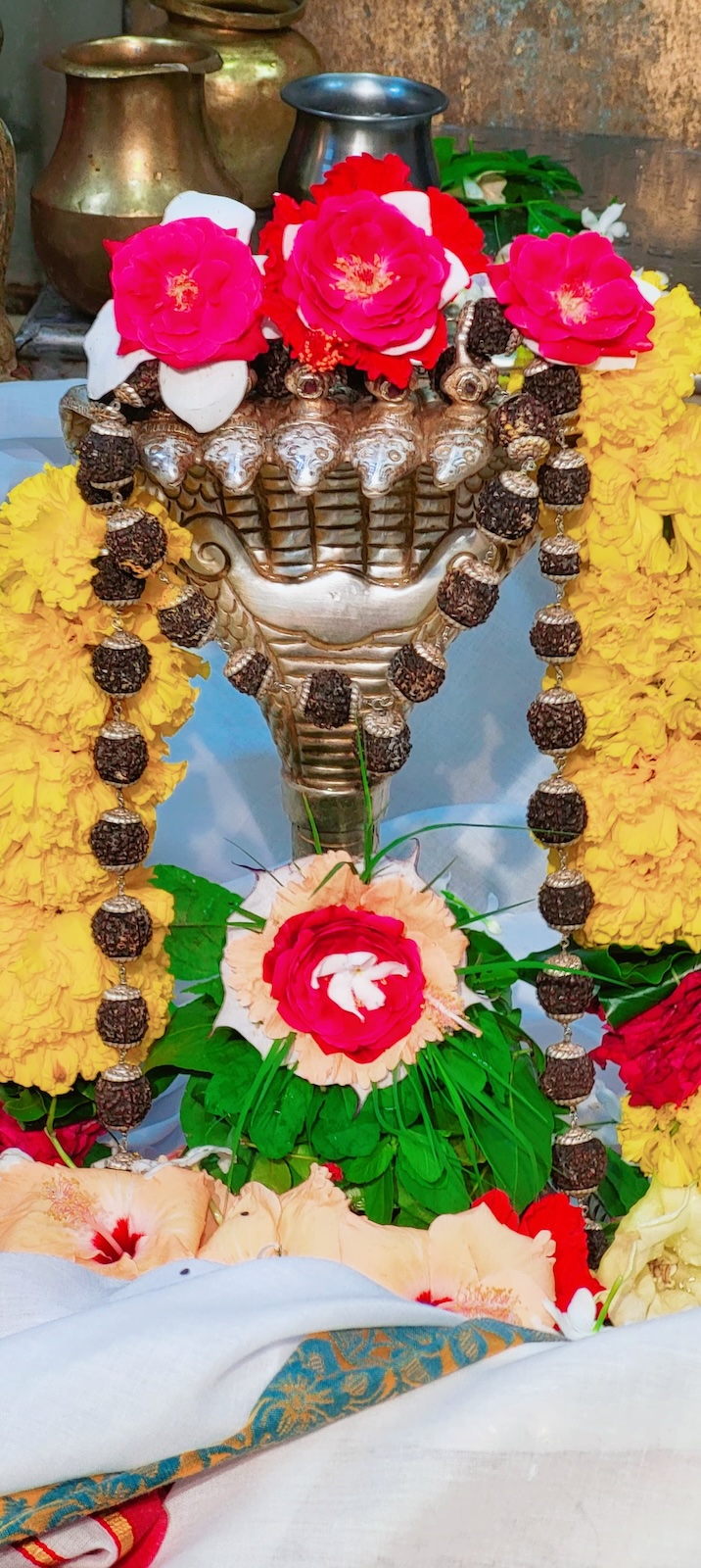 Rudrabhishek to Shree Kubereshwar Mahadev