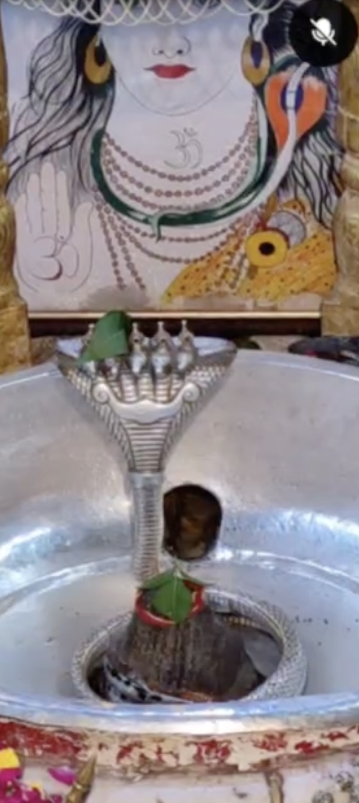 Rudrabhishek to Shree Kubereshwar Mahadev