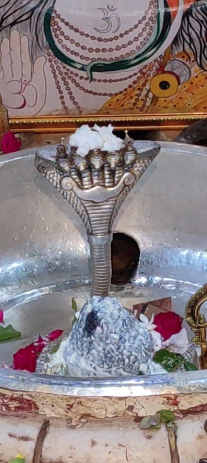 Rudrabhishek to Shree Kubereshwar Mahadev