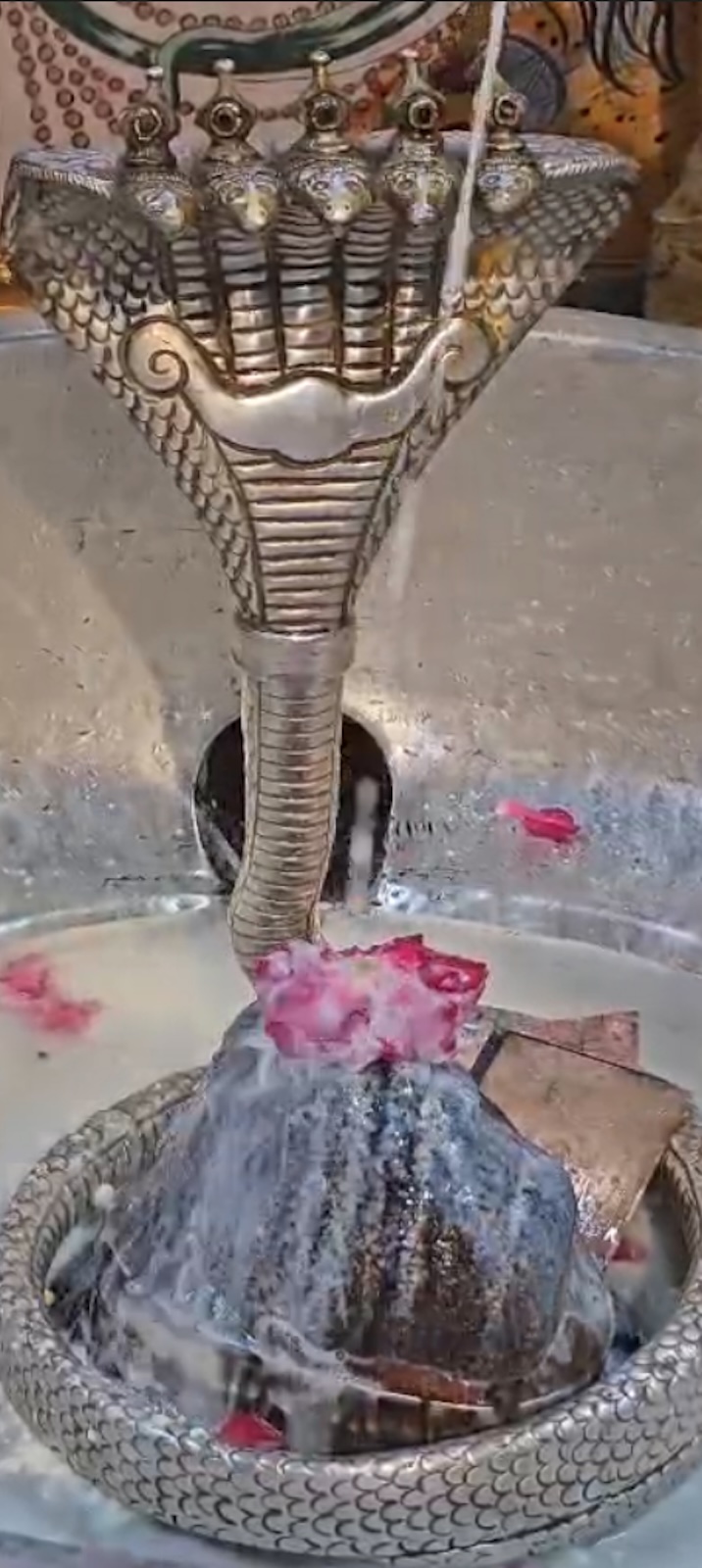 Rudrabhishek to Shree Kubereshwar Mahadev