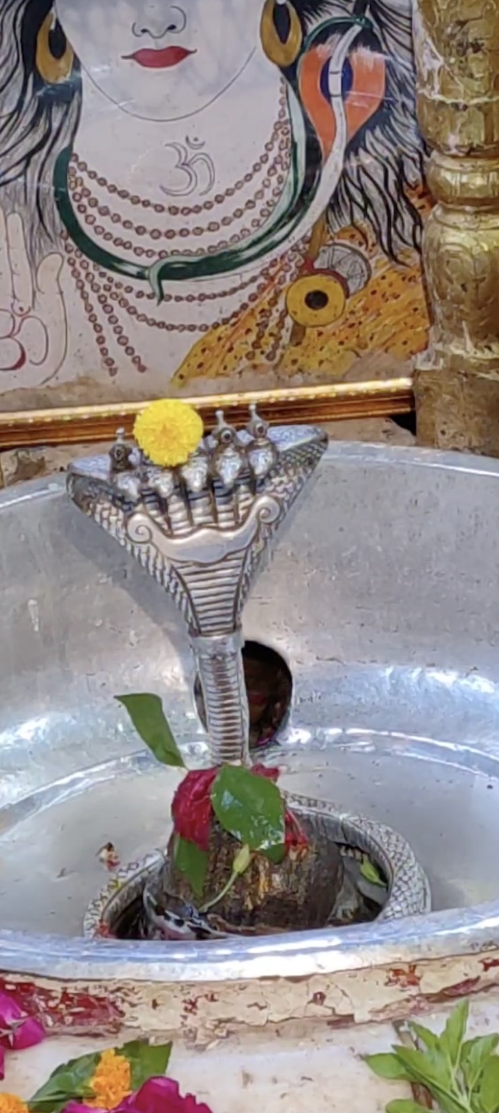 Rudrabhishek to Shree Kubereshwar Mahadev