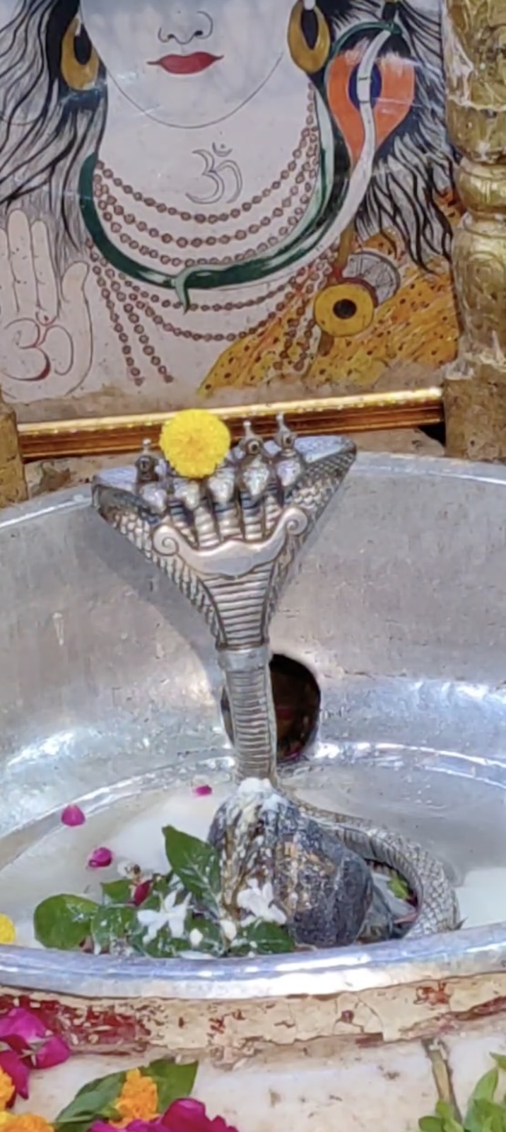 Rudrabhishek to Shree Kubereshwar Mahadev
