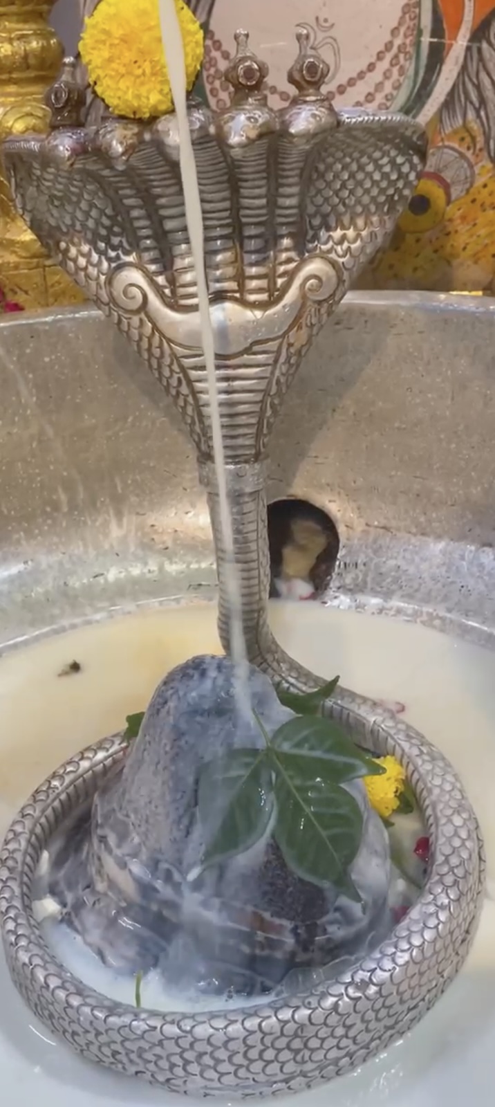 Rudrabhishek to Shree Kubereshwar Mahadev