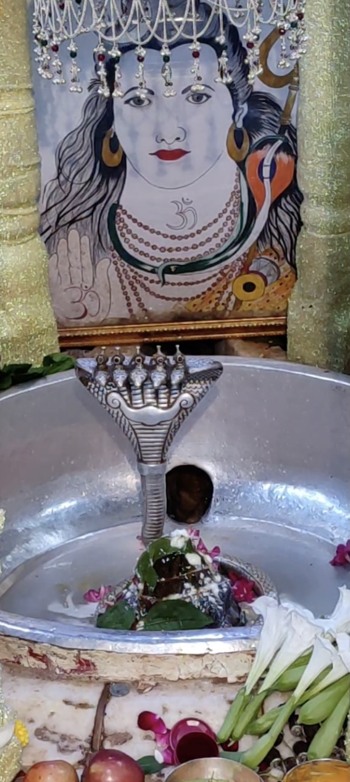 Rudrabhishek to Shree Kubereshwar Mahadev