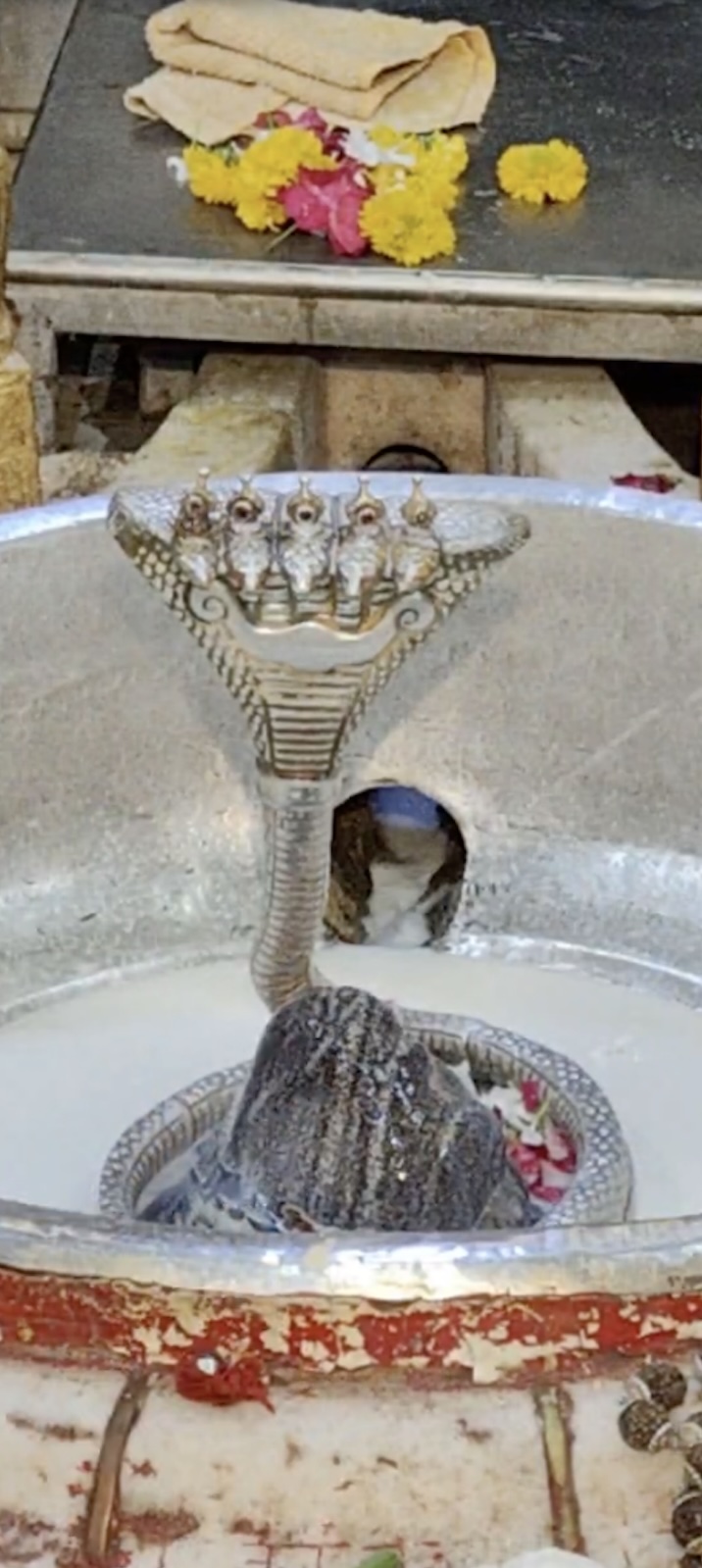 Rudrabhishek to Shree Kubereshwar Mahadev