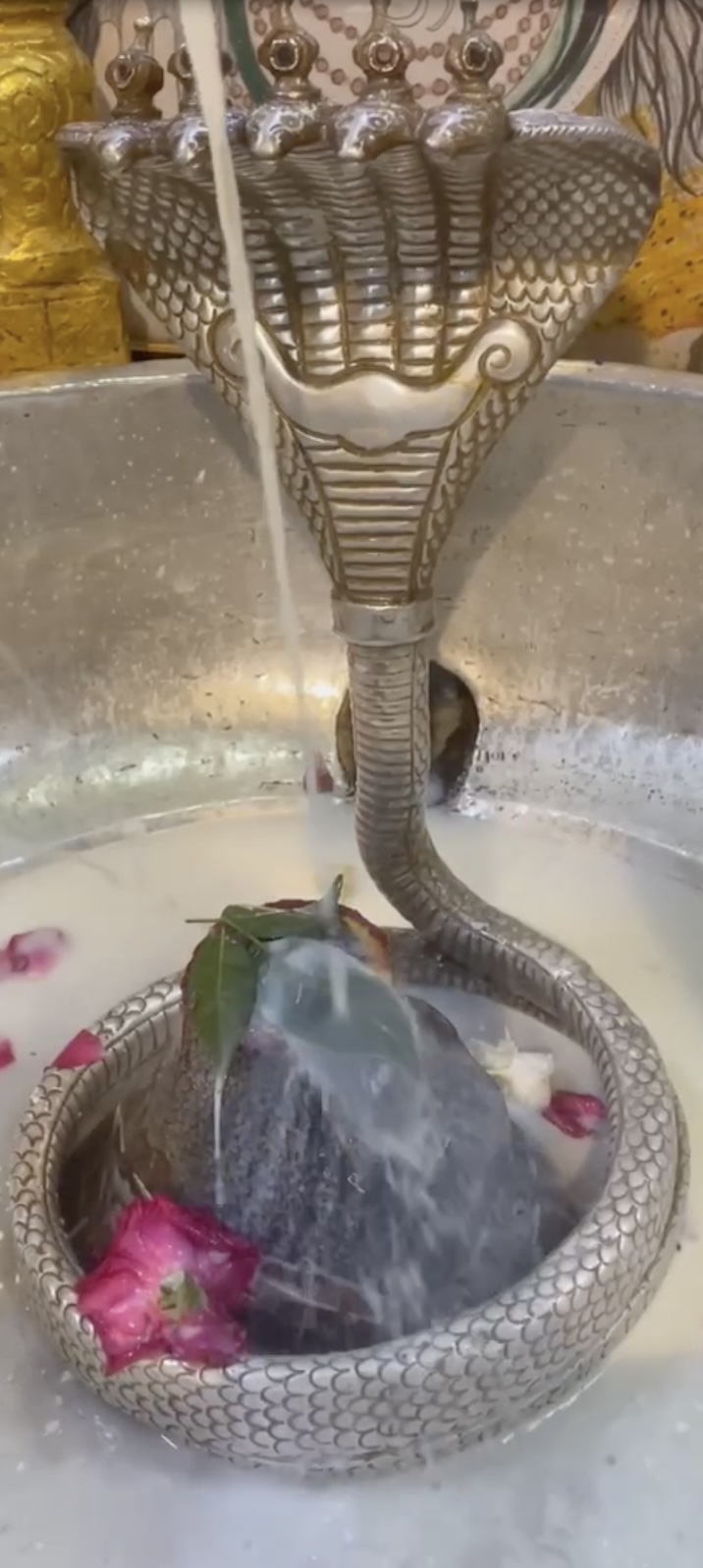 Rudrabhishek to Shree Kubereshwar Mahadev