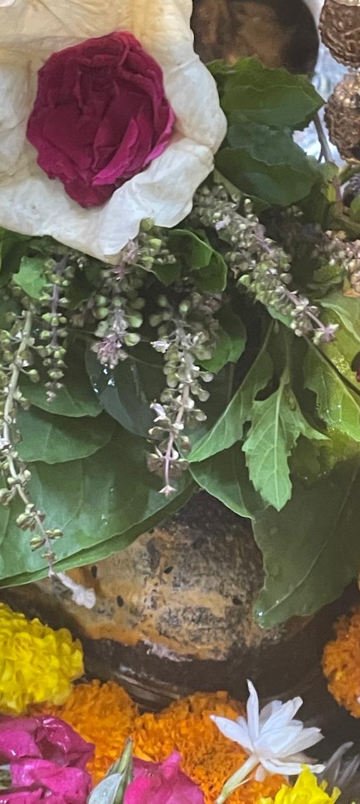 Rudrabhishek to Shree Kubereshwar Mahadev