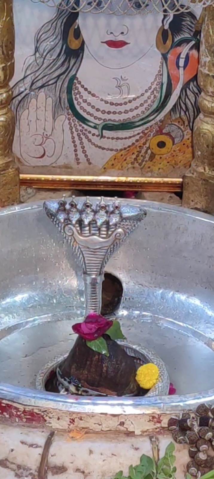 Rudrabhishek to Shree Kubereshwar Mahadev