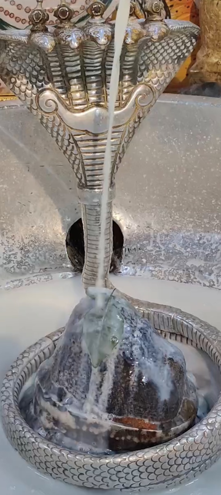 Rudrabhishek to Shree Kubereshwar Mahadev