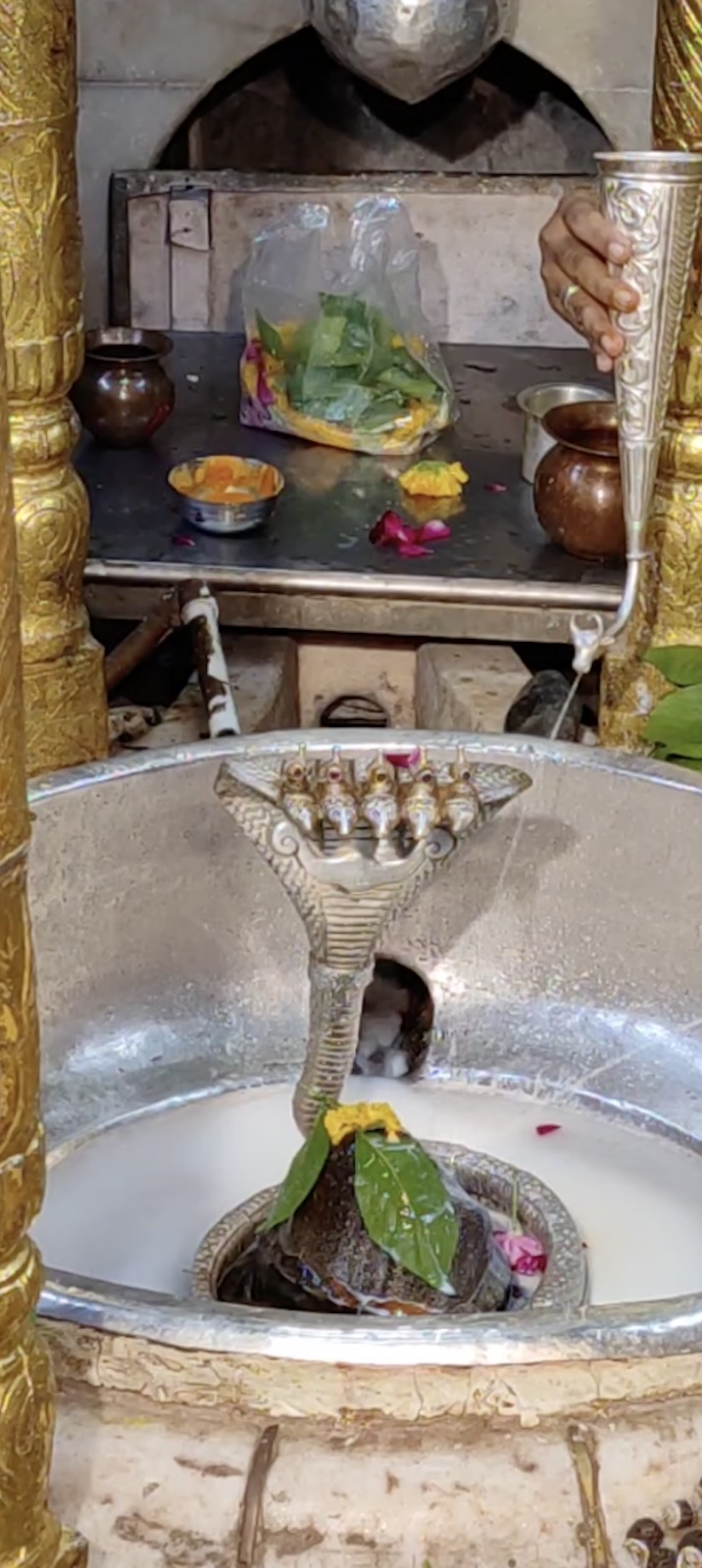 Rudrabhishek to Shree Kubereshwar Mahadev