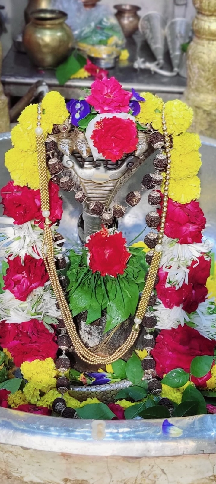 Shangar Darshan Shree Kubereshwar Mahadev