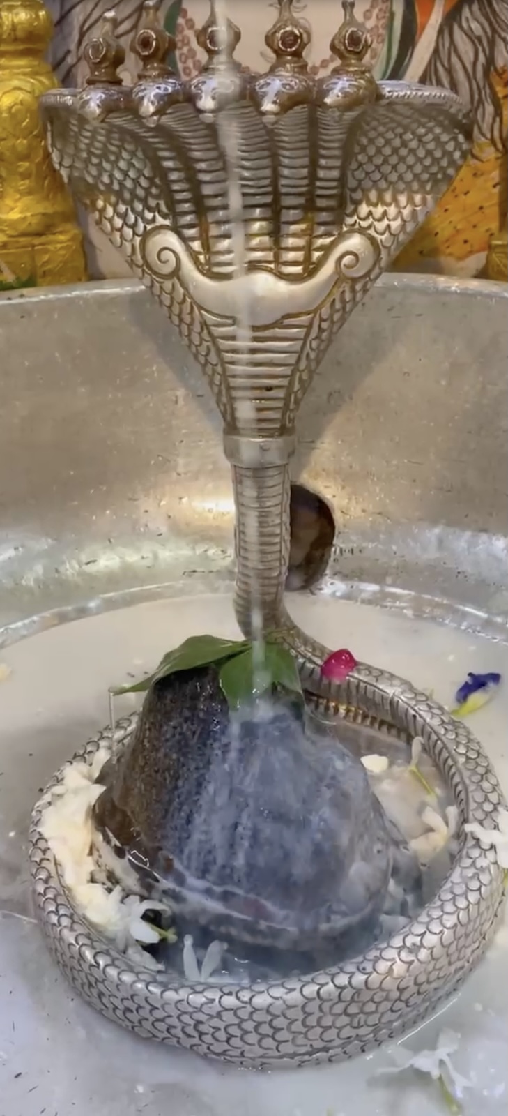 Rudrabhishek to Shree Kubereshwar Mahadev