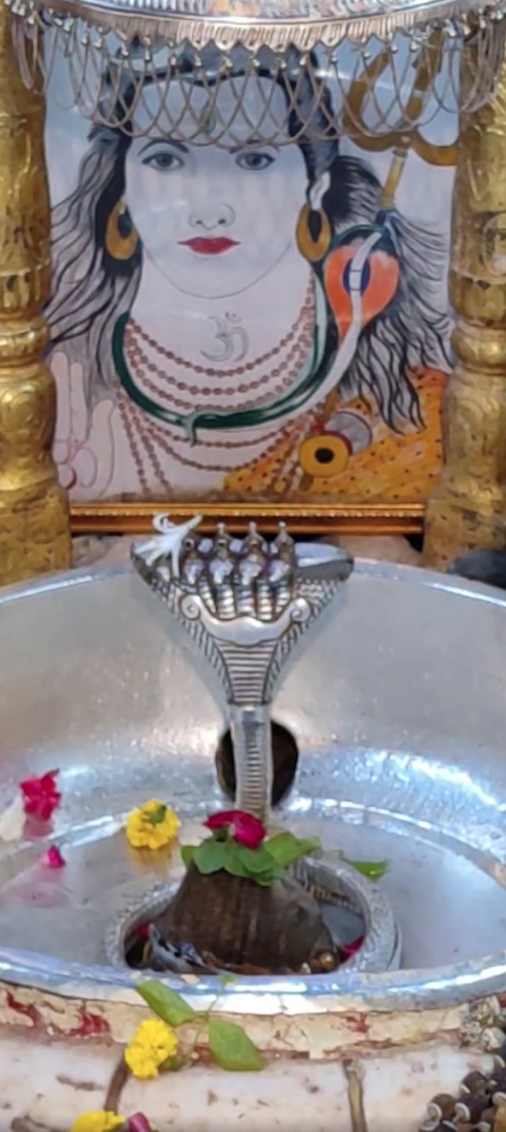 Rudrabhishek to Shree Kubereshwar Mahadev