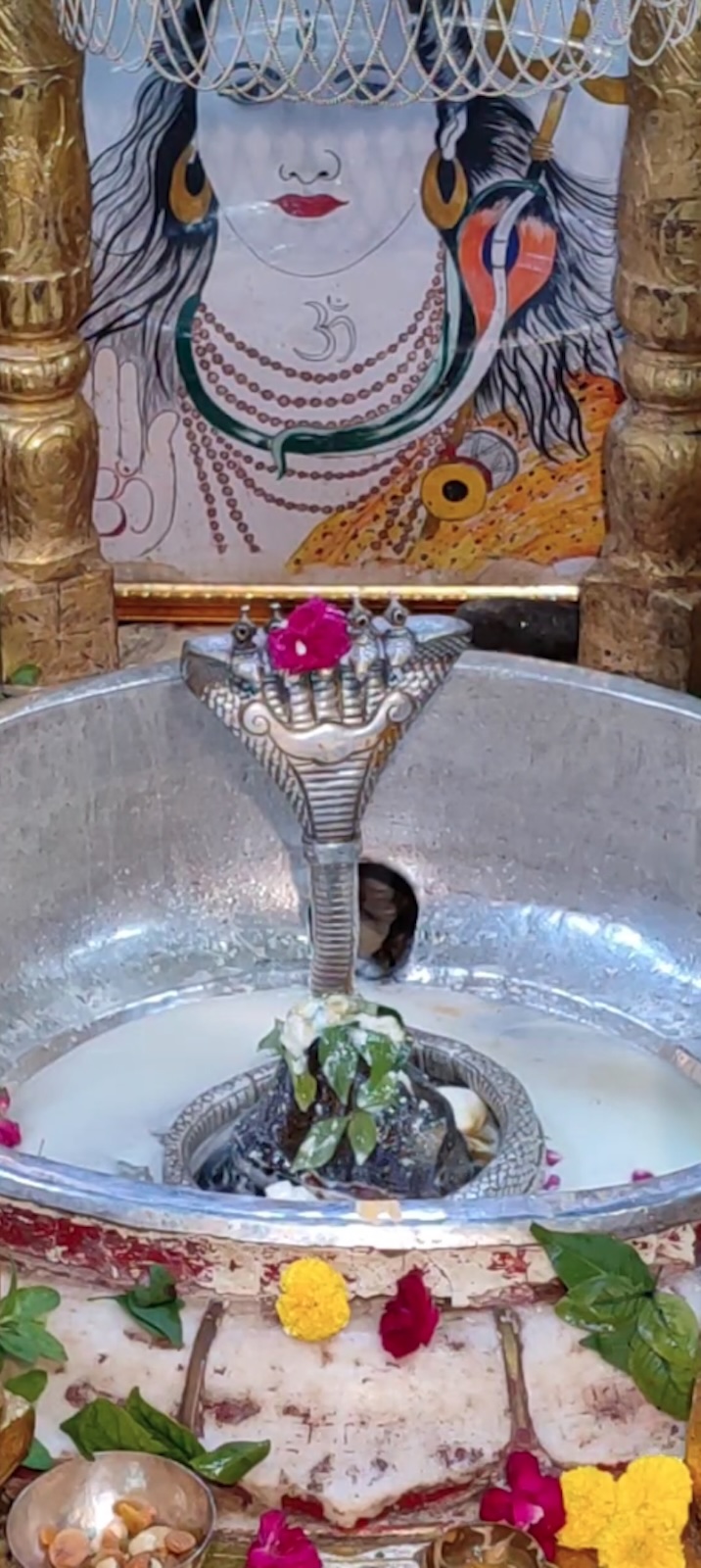 Rudrabhishek to Shree Kubereshwar Mahadev