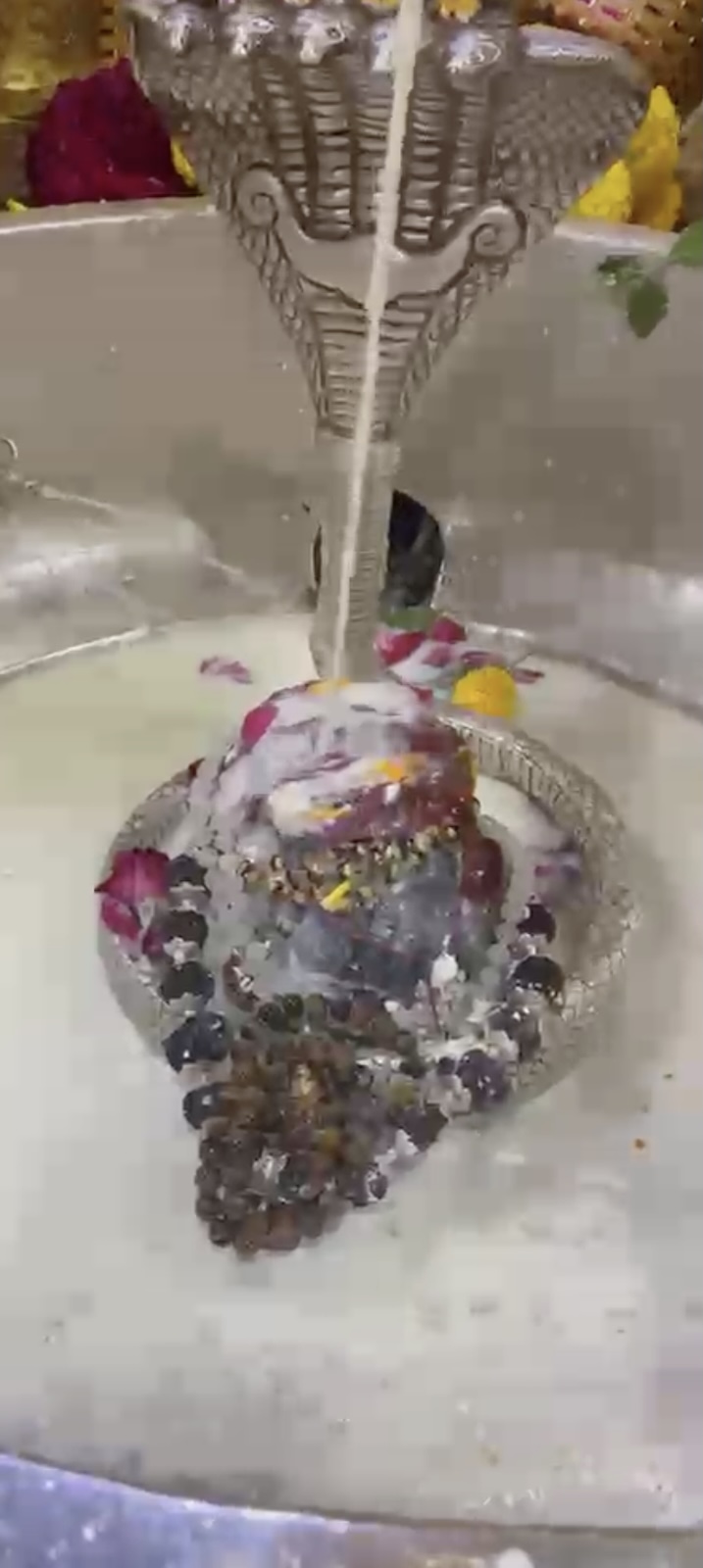 Rudrabhishek to Shree Kubereshwar Mahadev