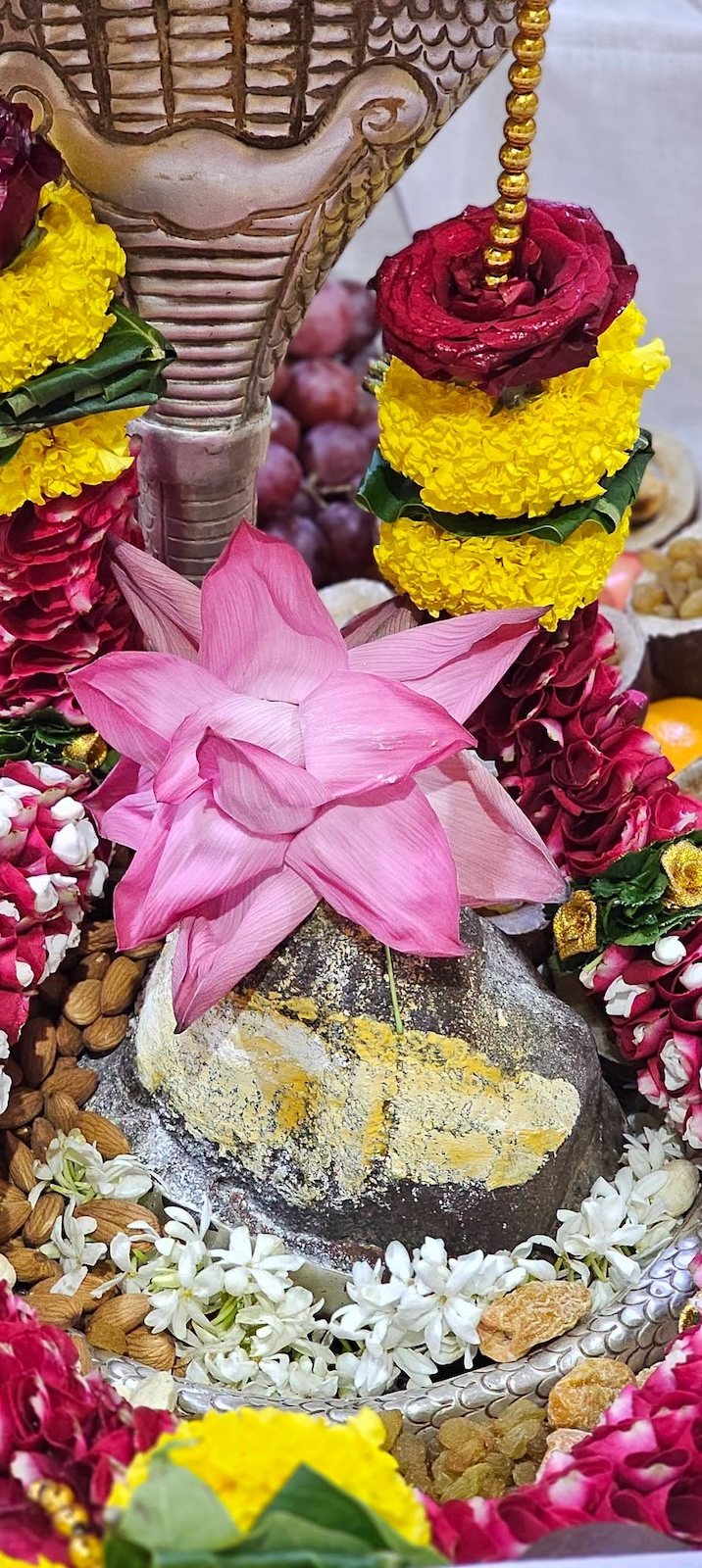 Rudrabhishek to Shree Kubereshwar Mahadev