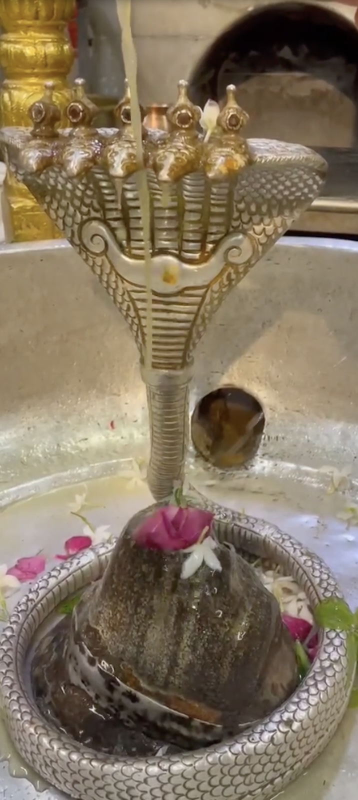 Rudrabhishek to Shree Kubereshwar Mahadev
