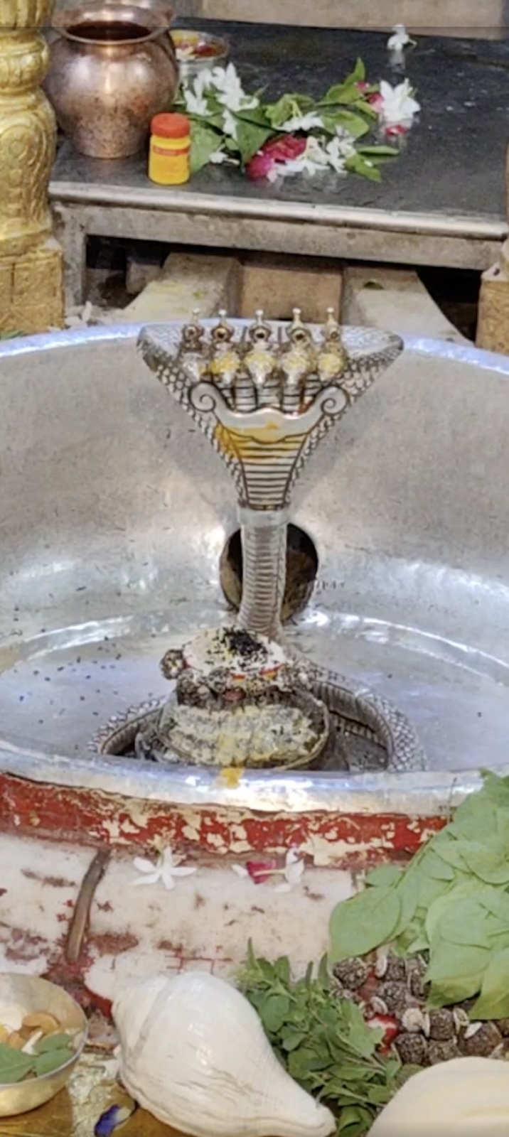 Rudrabhishek to Shree Kubereshwar Mahadev