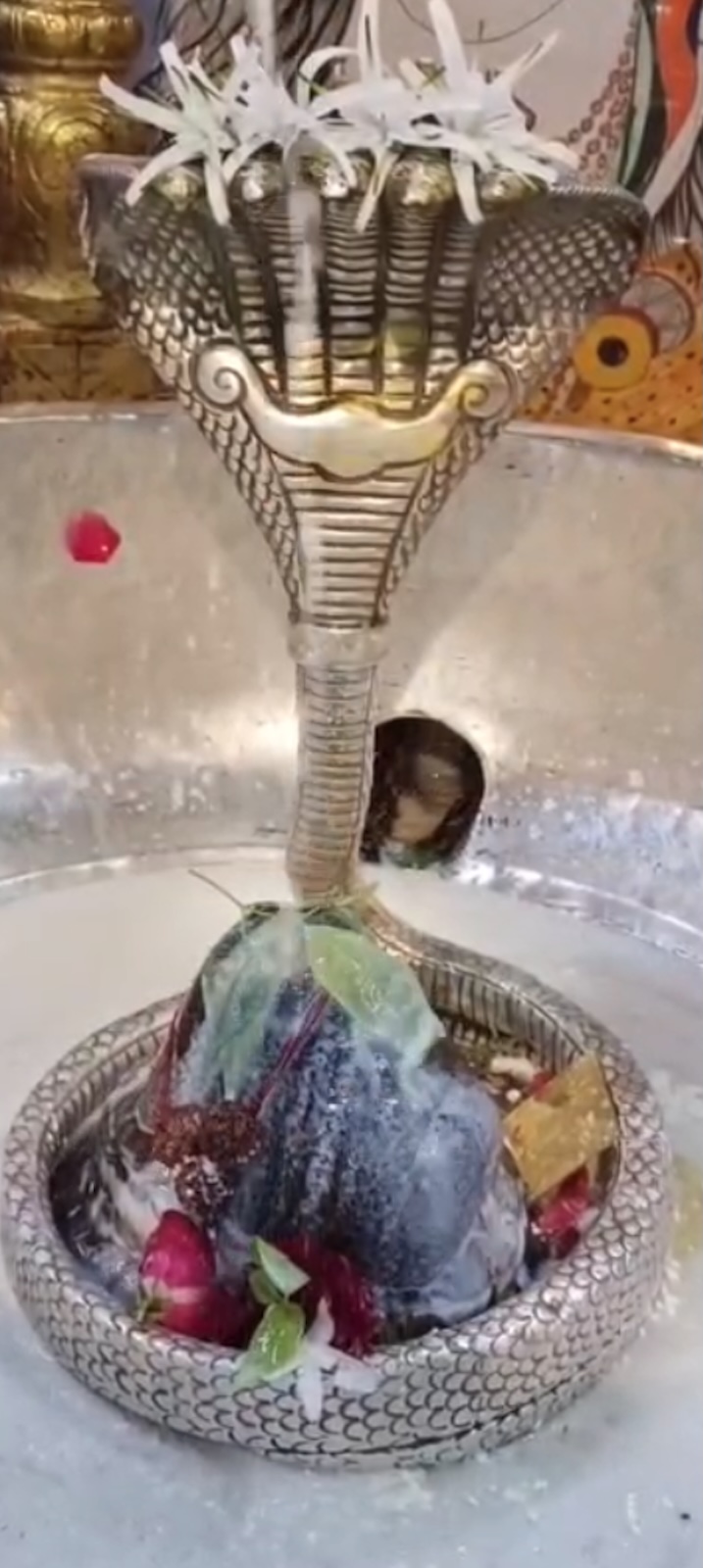 Rudrabhishek to Shree Kubereshwar Mahadev