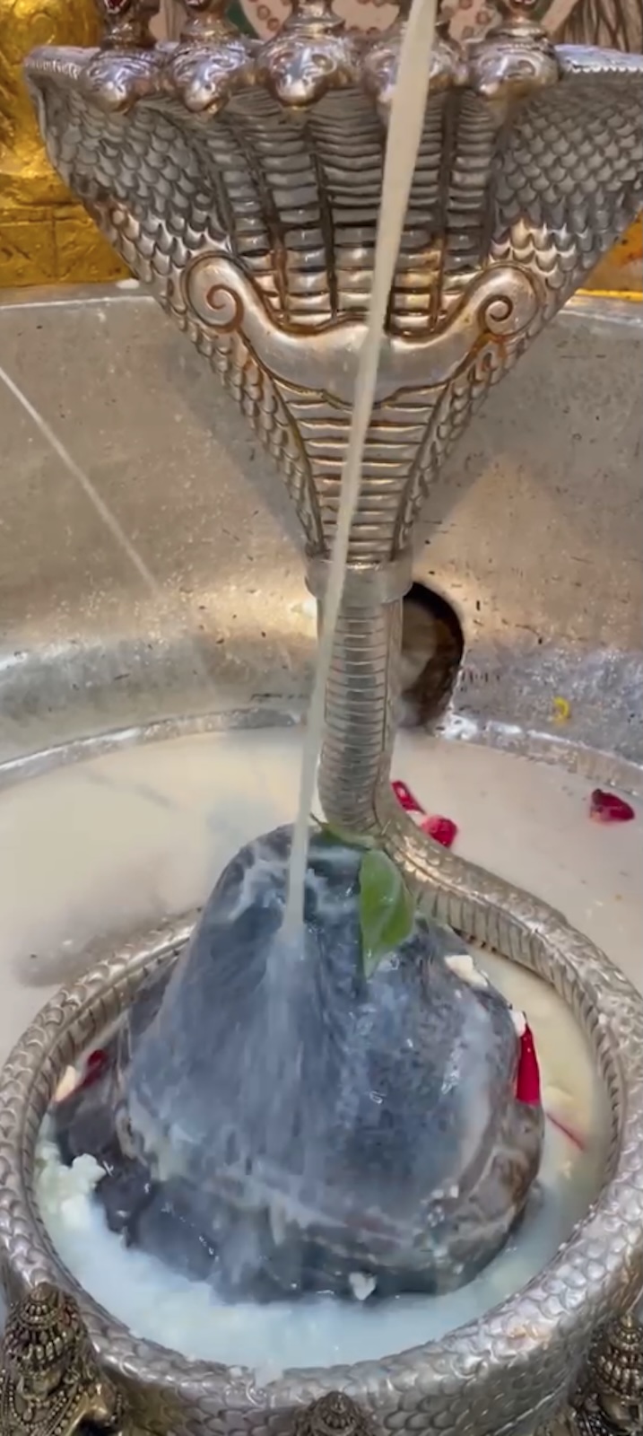 Rudrabhishek to Shree Kubereshwar Mahadev