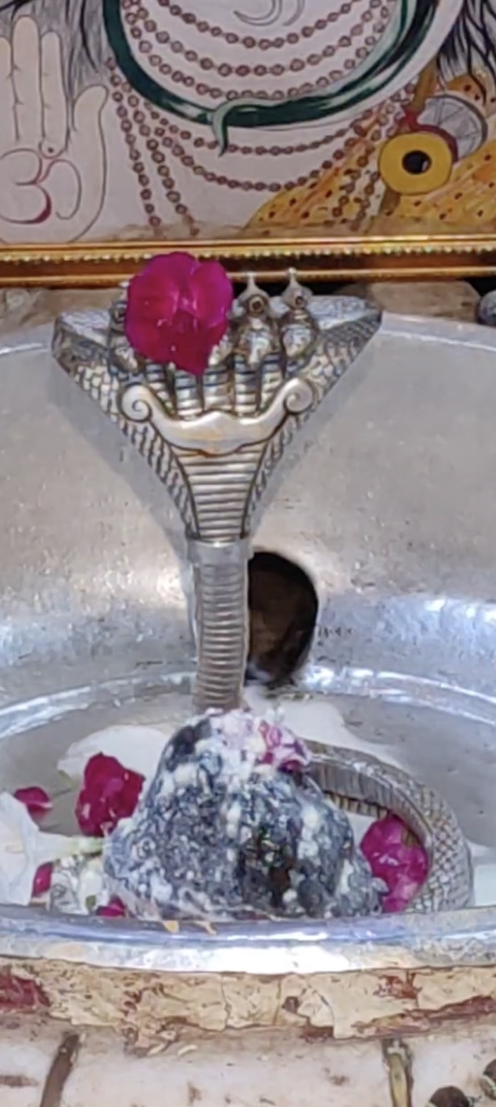Rudrabhishek to Shree Kubereshwar Mahadev