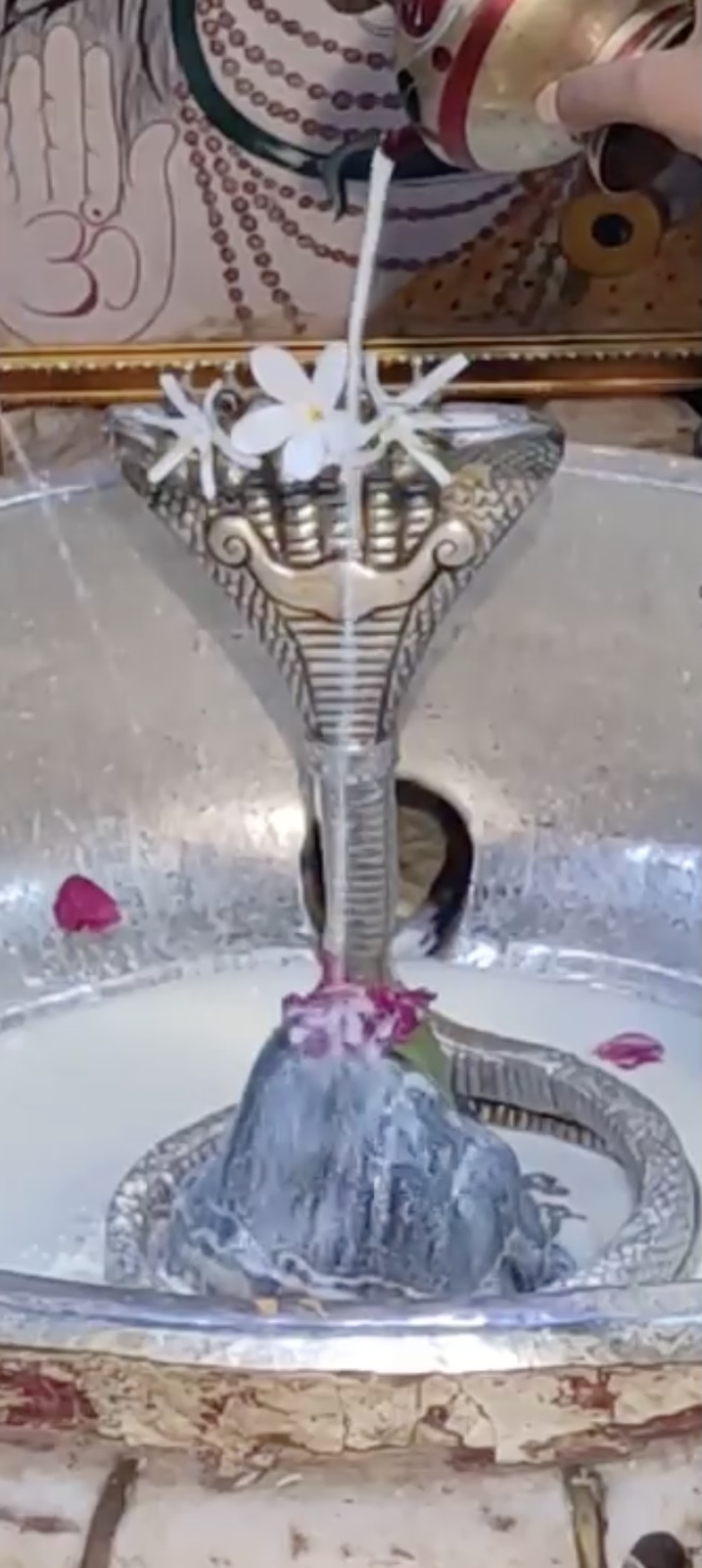 Rudrabhishek to Shree Kubereshwar Mahadev