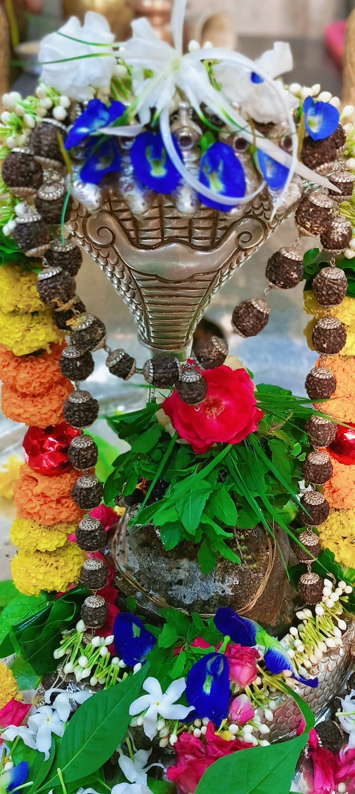 Shangar Darshan Shree Kubereshwar Mahadev