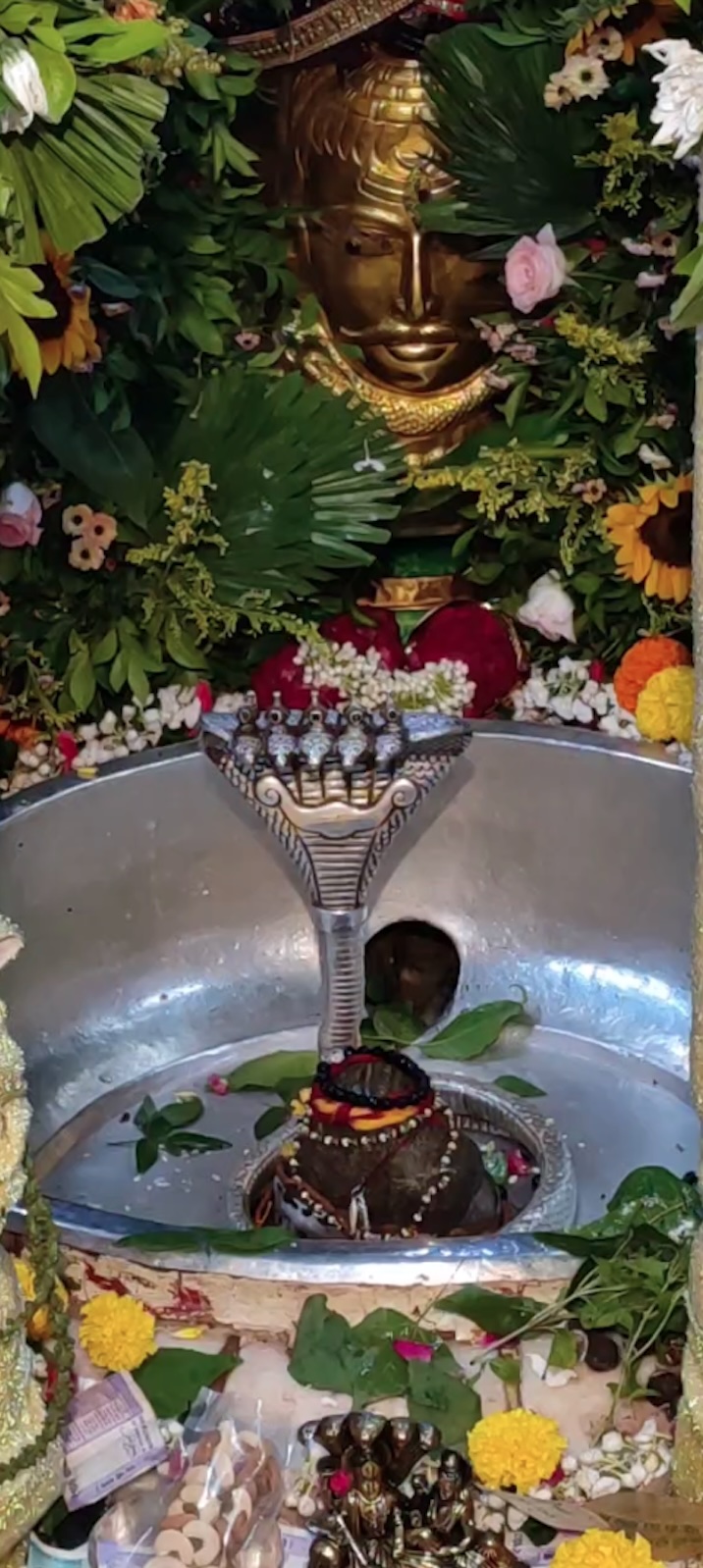 Rudrabhishek to Shree Kubereshwar Mahadev