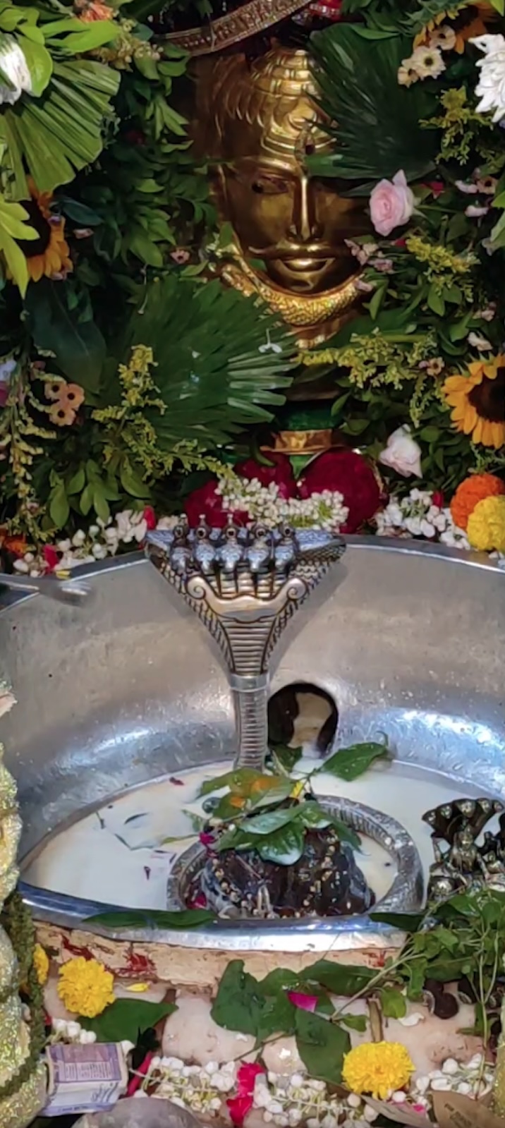 Rudrabhishek to Shree Kubereshwar Mahadev
