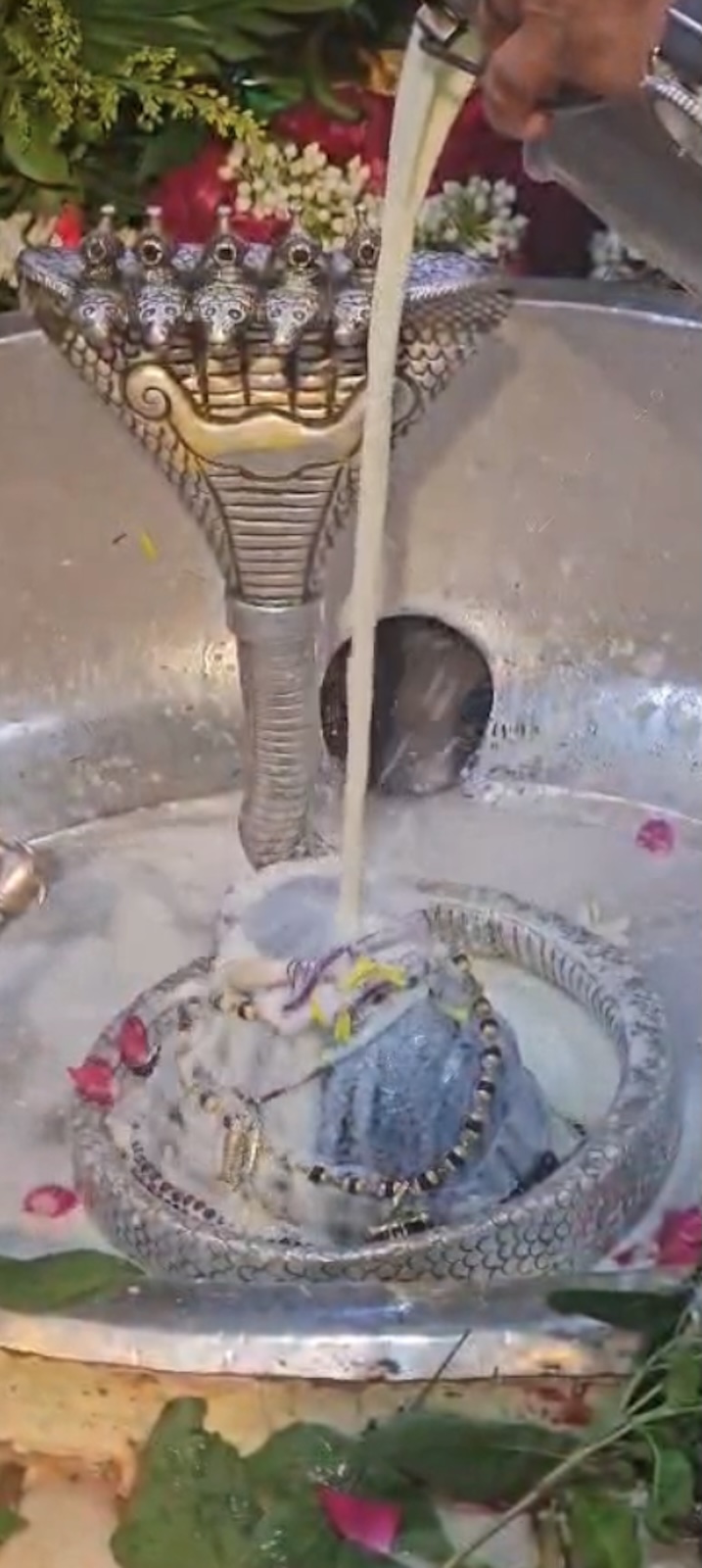 Rudrabhishek to Shree Kubereshwar Mahadev