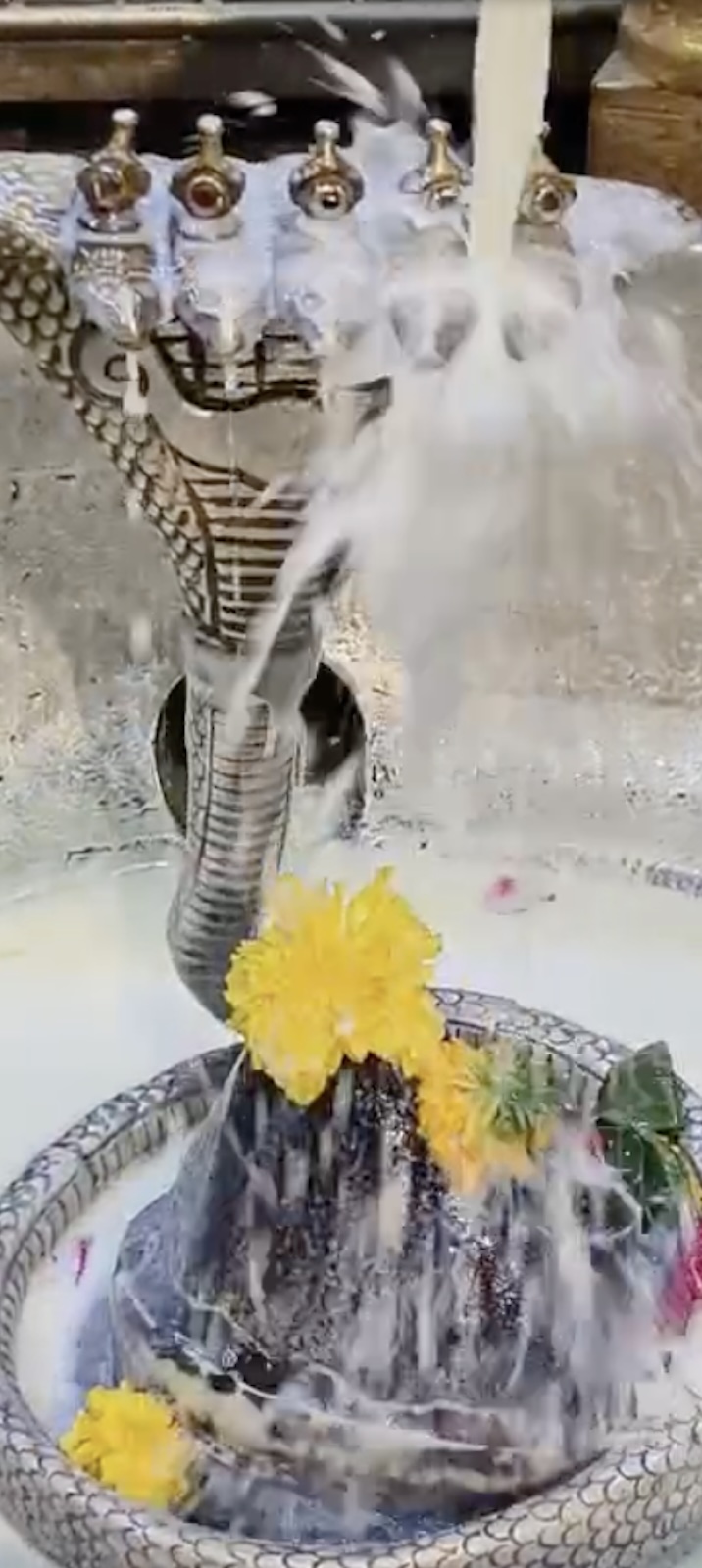 Rudrabhishek to Shree Kubereshwar Mahadev