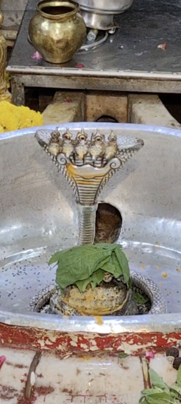 Rudrabhishek to Shree Kubereshwar Mahadev