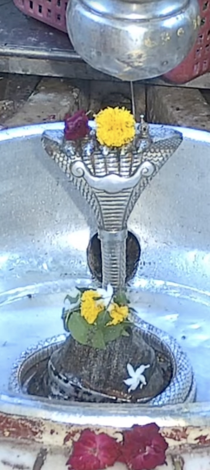 Rudrabhishek to Shree Kubereshwar Mahadev