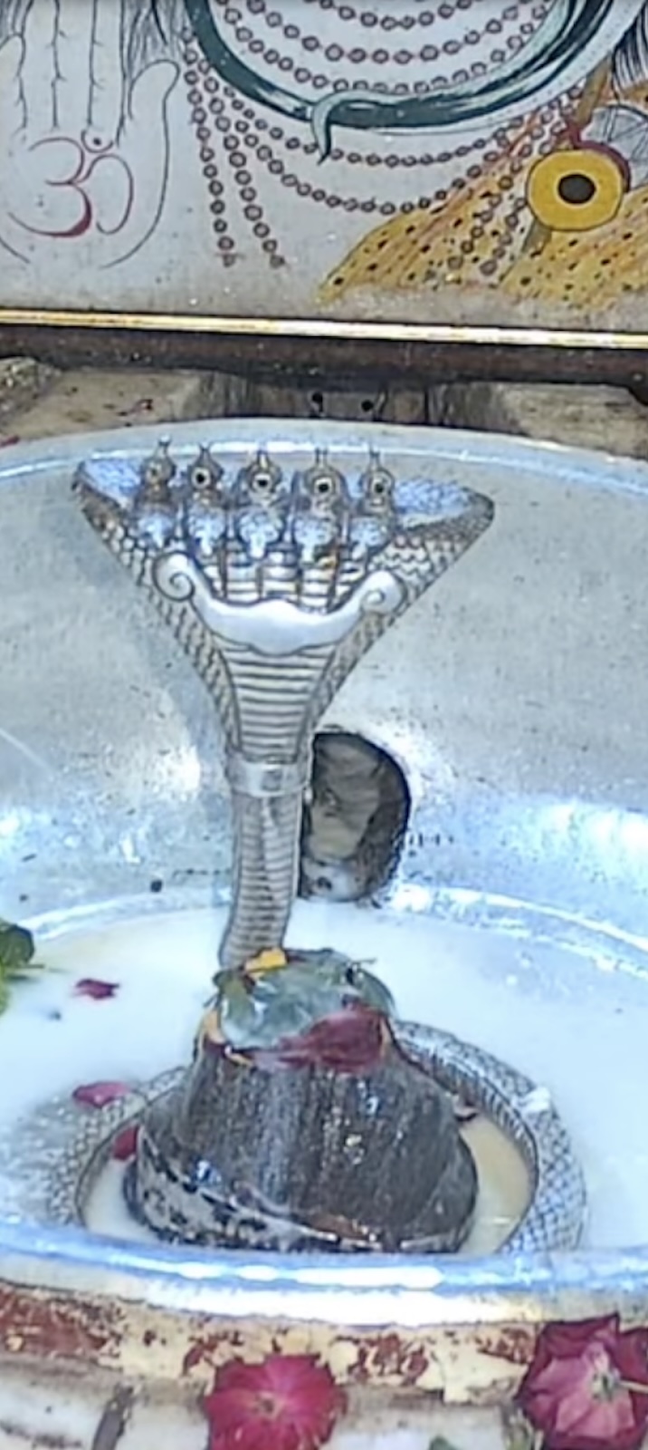 Rudrabhishek to Shree Kubereshwar Mahadev