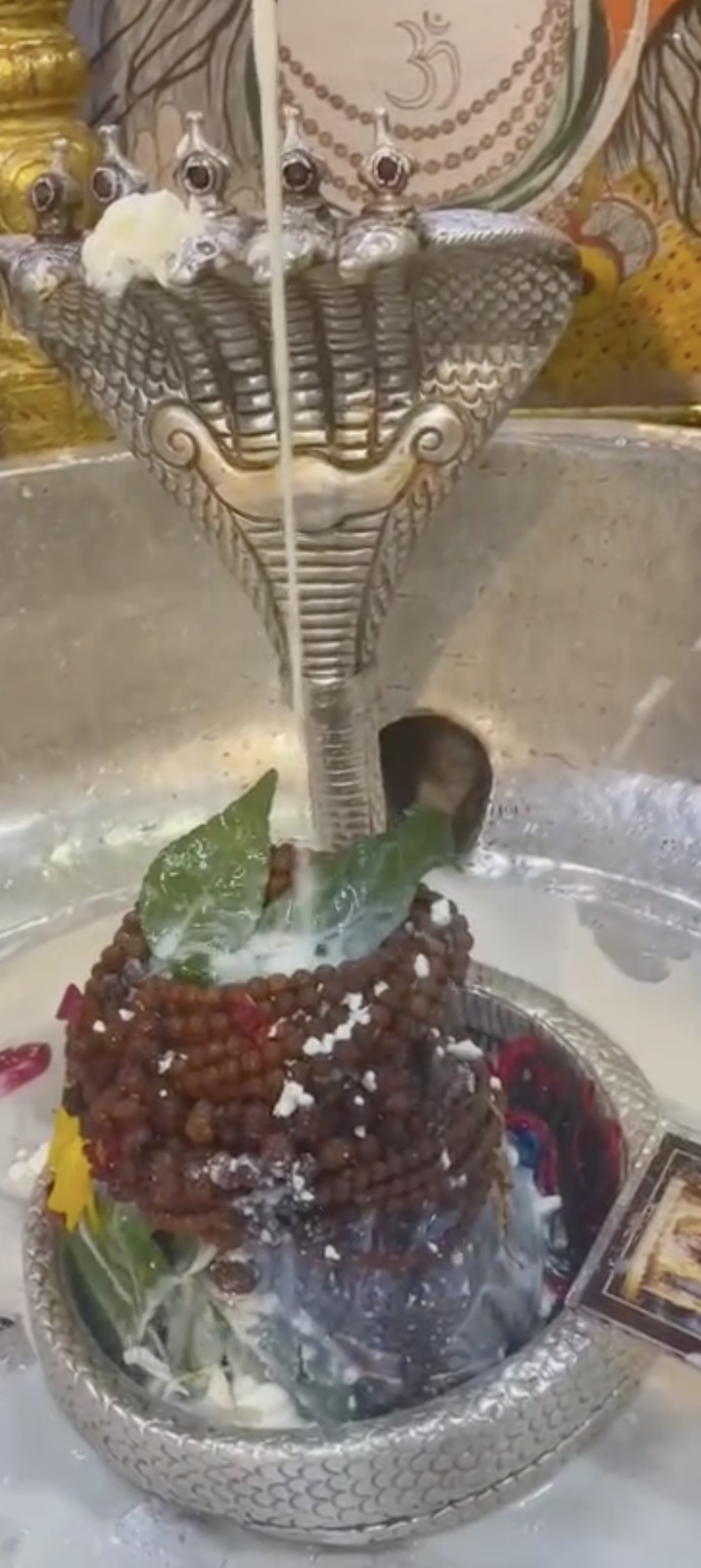 Rudrabhishek to Shree Kubereshwar Mahadev